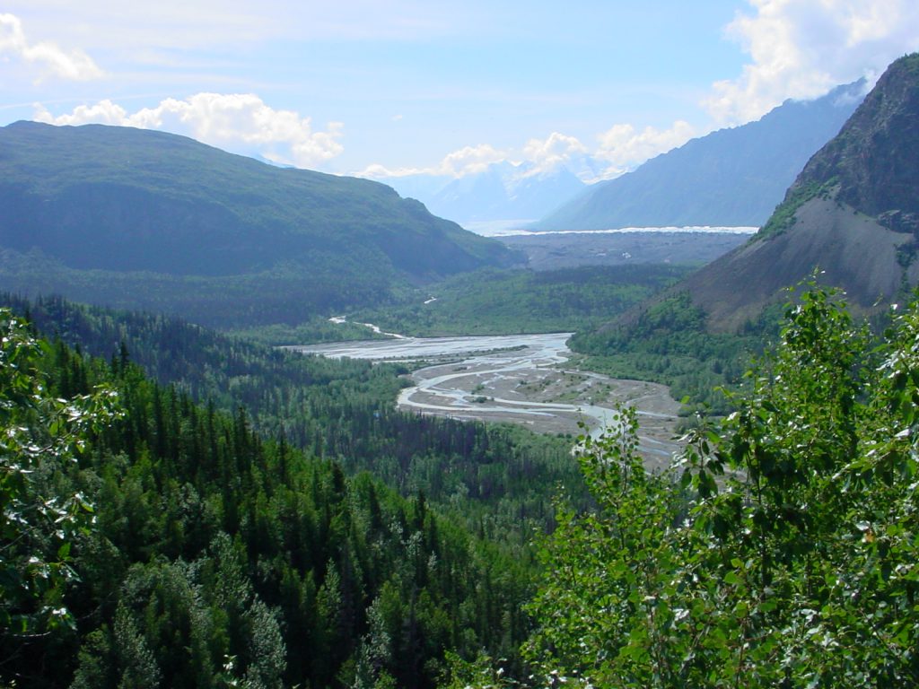 Landschaft vor Palmer